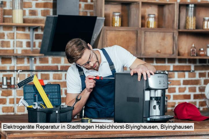 Elektrogeräte Reparatur in Stadthagen Habichhorst-Blyinghausen, Blyinghausen